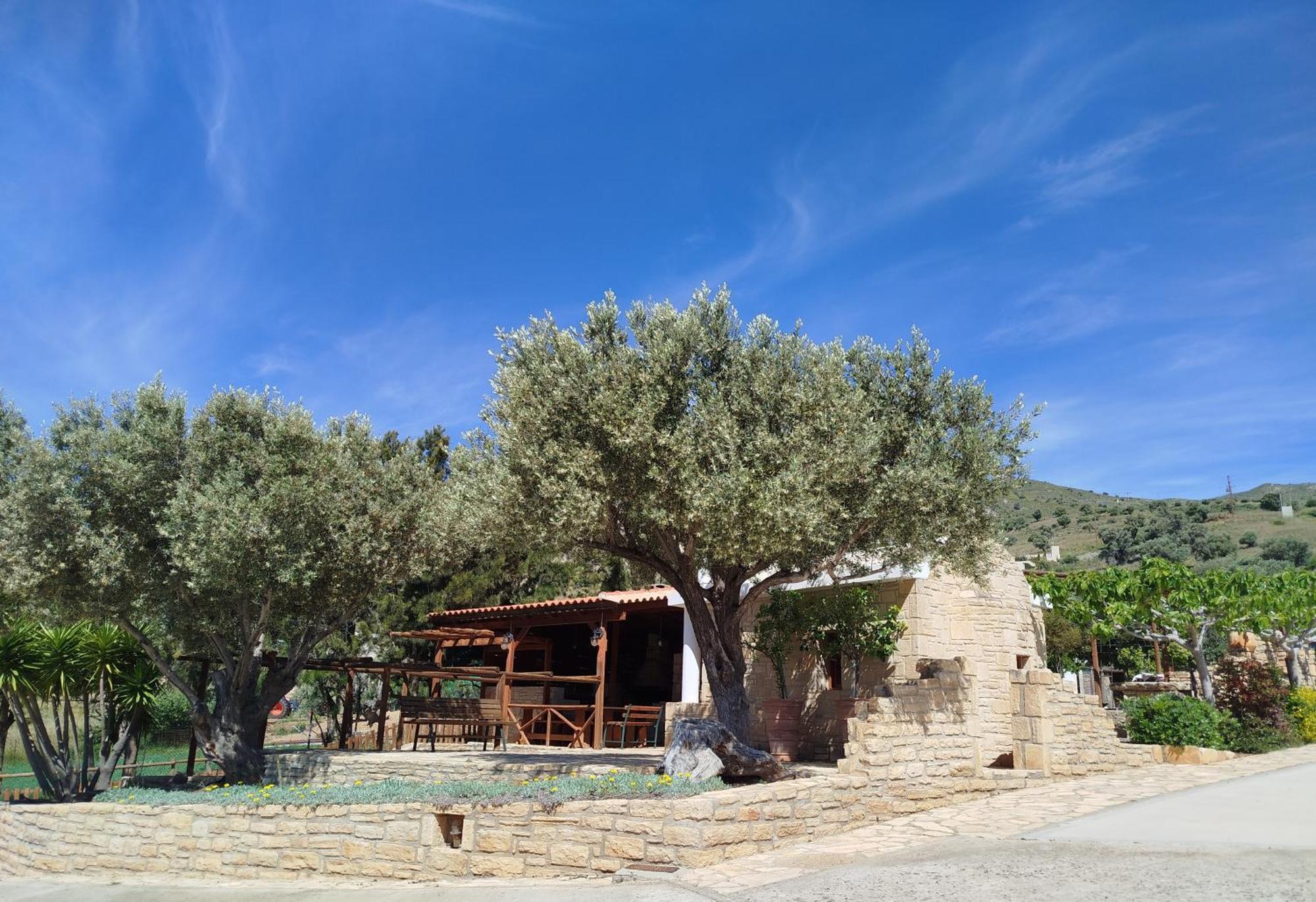 Alexena Apartments Agia Galini Dış mekan fotoğraf