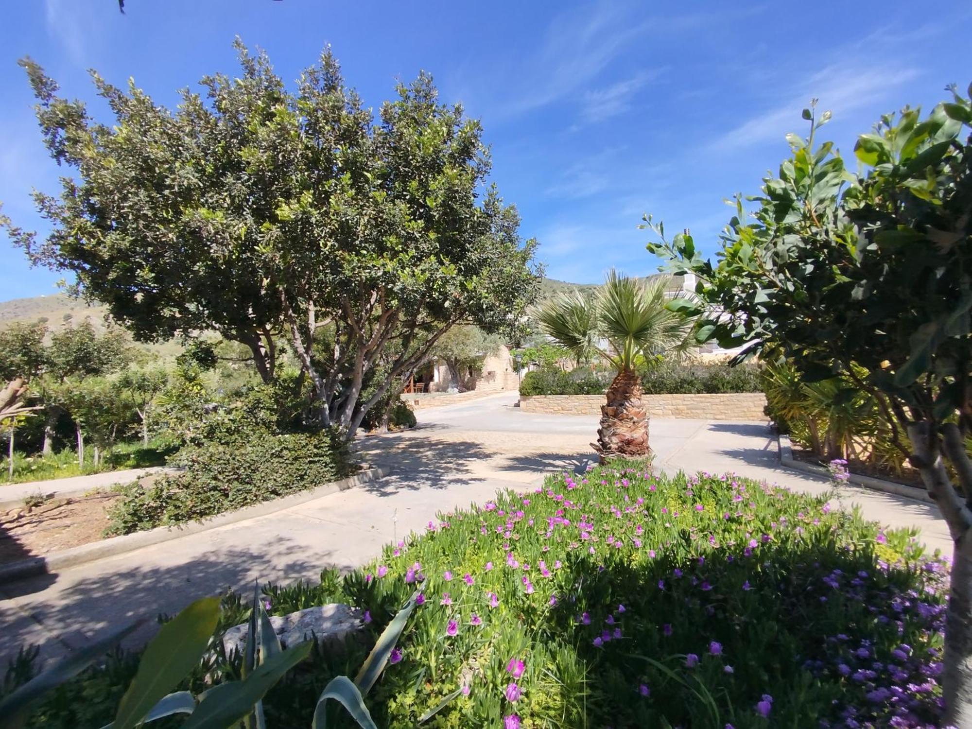Alexena Apartments Agia Galini Dış mekan fotoğraf
