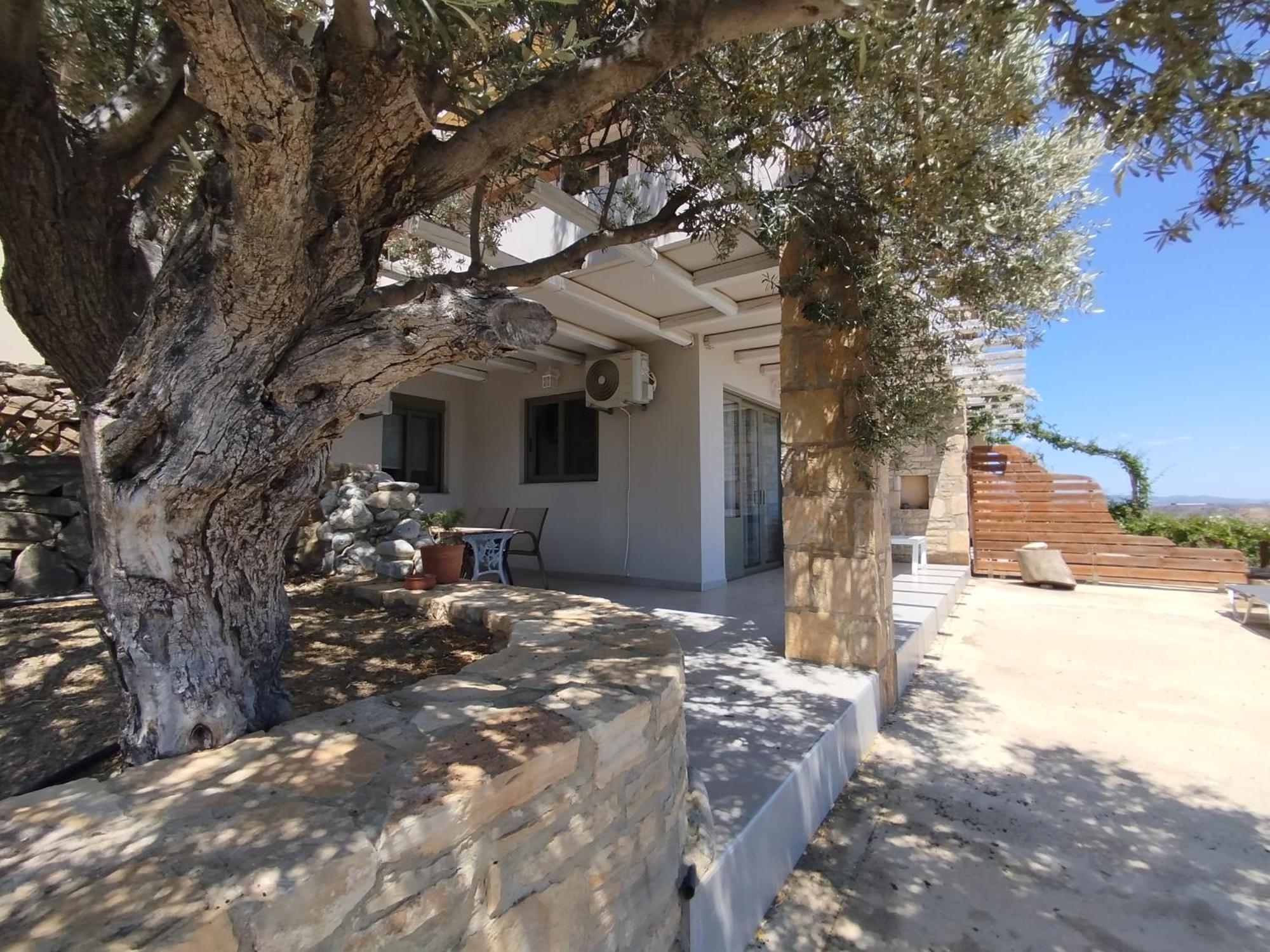 Alexena Apartments Agia Galini Dış mekan fotoğraf