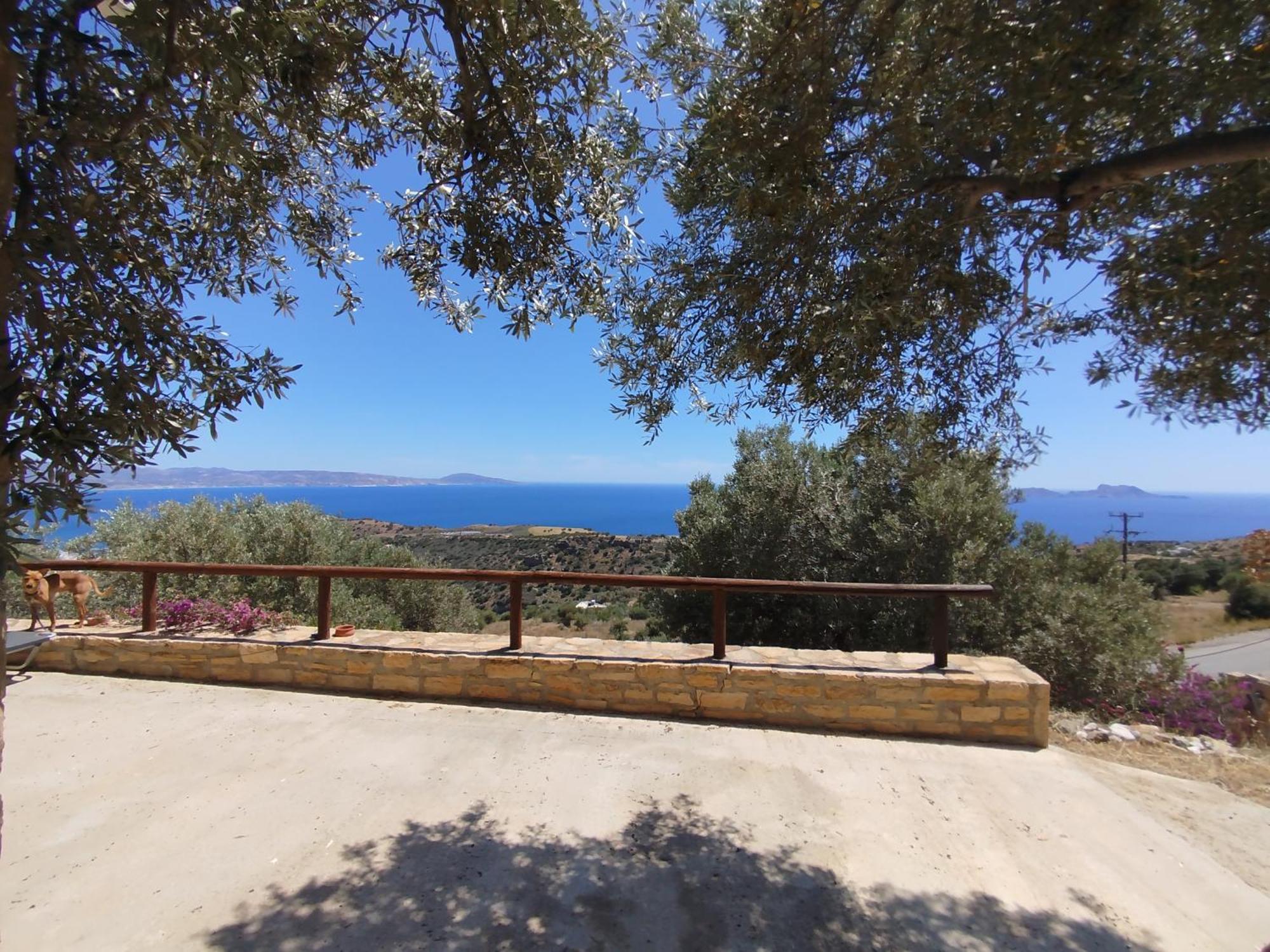 Alexena Apartments Agia Galini Dış mekan fotoğraf